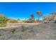 Large, sunny vacant lot with ample space and privacy offers endless potential for development at 2711 Ashby Ave, Las Vegas, NV 89102