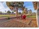 View of backyard with mature trees, seating area, and gravel landscaping along the house at 5209 Rim View Ln, Las Vegas, NV 89130