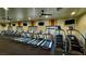 State-of-the-art gym featuring rows of treadmills and elliptical machines, with large windows at 5528 Eleganza Ave, Pahrump, NV 89061