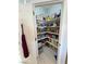 Walk-in pantry providing ample storage space with organized shelving at 720 Florida St, Pahrump, NV 89048