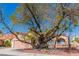 The home has a well-maintained front yard, mature trees and a charming facade at 7624 Desert Delta Dr, Las Vegas, NV 89128