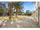 Paver patio leading to lush backyard lawn and mature palm trees for elegant outdoor living at 2301 W El Camino Ave, Las Vegas, NV 89102