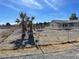 Fenced backyard featuring desert vegetation, providing privacy and natural appeal at 1681 Appaloosa Ln, Pahrump, NV 89060