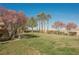 Landscaped backyard with flowering trees, manicured lawn, and privacy at 3717 Moonshine Falls Ave, North Las Vegas, NV 89085