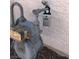 Close up of the gas meter for the property at 6965 Coral Rock Dr, Las Vegas, NV 89108
