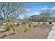 Manicured common area with a xeriscaped landscape, lush trees, and a community pool in the background at 527 Clearsable Ave, Henderson, NV 89044