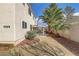 Landscaped backyard features mature palm trees at 7973 Macklin St, Las Vegas, NV 89129