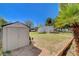View of a large backyard featuring green grass, a storage building, and mature trees at 425 Bonelli Ave, Overton, NV 89040