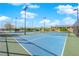 Outdoor tennis courts feature blue and green surfaces and are surrounded by a fence and community landscaping at 5095 E Long Leaf Ct, Pahrump, NV 89061