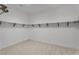 Spacious walk-in closet provides ample storage with a full shelf and rod system, and neutral carpeting at 10739 Agate Cliffs Ave, Las Vegas, NV 89135