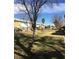 This exterior view showcases the front of the townhouses with a sidewalk and tree at 146 Greenbriar Townhouse Way, Las Vegas, NV 89121