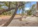 A backyard features a tree, landscaping, and golf course at 2608 Golfside Dr, Las Vegas, NV 89134