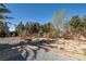 Large backyard with trees and shrubs, perfect for outdoor activities at 3330 Unicorn Ave, Pahrump, NV 89048