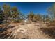 Expansive backyard with mature trees and natural desert landscaping at 3330 Unicorn Ave, Pahrump, NV 89048