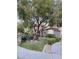 Beautifully landscaped front yard with mature trees, lush green grass, and manicured shrubbery at 4738 Laurel Canyon St, Las Vegas, NV 89129