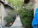 View of a side yard with a gate surrounded by bushes and foliage at 4738 Laurel Canyon St, Las Vegas, NV 89129