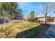 Green backyard featuring mature trees, a trampoline, and covered patio area at 5221 Holmby Ave, Las Vegas, NV 89146