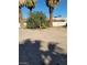 Photo of backyard featuring mature palm trees and plants at 1413 Bryn Mawr Ave, Las Vegas, NV 89102