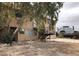 View of backyard and unique dome home at 1427 San Felipe Dr, Boulder City, NV 89005