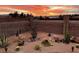 A desert garden with native cacti, succulents, and rock features enclosed by a walled perimeter fence at 1440 Lost Creek Dr, Pahrump, NV 89048