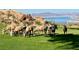 Bighorn sheep graze on a lawn near Lake Mead, offering a serene desert view at 201 Kaelyn St # 4, Boulder City, NV 89005