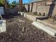 Backyard area with stone landscaping, palm trees and an ivy-covered wall for privacy at 3480 E Hacienda Ave, Las Vegas, NV 89120