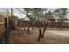 Backyard area featuring trees and partial fencing for definition at 4341 San Mateo St, North Las Vegas, NV 89032