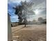 Spacious backyard view showcasing trees, sheds, and partial fencing at 4341 San Mateo St, North Las Vegas, NV 89032