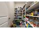 Walk-in pantry with shelves stocked full of food items and storage containers at 5467 Eleganza Ave, Pahrump, NV 89061