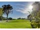Expansive green golf course with blue sky, mature trees and clear, sunny skies at 945 Vegas Valley Dr, Las Vegas, NV 89109