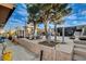 Backyard featuring a basketball hoop, large tree, and concrete pavers at 1808 Walnut Ave, Las Vegas, NV 89101