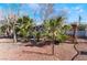 Spacious backyard with mature trees and desert landscaping at 1920 Parkchester Dr, Las Vegas, NV 89108