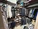 Walk-in closet with custom shelving provides ample storage for clothes and accessories at 3047 Whispering Crest Dr, Henderson, NV 89052