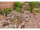 Attractive rock garden with lush greenery and accents, adding a touch of nature and visual appeal to the landscape at 6736 Sugarbird Ct, North Las Vegas, NV 89084