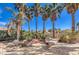 Outdoor patio with built in bbq, table with umbrella and tall palm trees at 6741 Philippe Allen Ave, Las Vegas, NV 89110