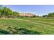 A large green space allows families and residents to gather outdoors and enjoy the weather at 10288 Grizzly Forest Dr, Las Vegas, NV 89178