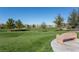 View of a large grass field in a neighborhood park with a seating area in the foreground at 1401 Via Savona Dr, Henderson, NV 89052