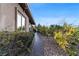 Landscape with stone pathway lined with trees and greenery at 10 Greely Club Trl, Henderson, NV 89052