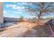 A spacious backyard great for relaxation and outdoor activities, complete with mature trees at 1312 Pacific Terrace Dr, Las Vegas, NV 89128