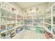 Walk-in pantry with ample shelving for storage at 4680 Peppertree St, Pahrump, NV 89061