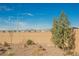 Backyard with desert landscaping, gravel, brick wall, some trees, and mountain view at 6225 Gambetta St, Las Vegas, NV 89115