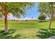 Expansive green lawn offers space for recreation and community events, framed by mature trees at 7479 Lassen Peak Cir, Las Vegas, NV 89149