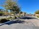 A view of the gated community with lush landscaping, plantings, and sidewalks at 10173 Skye Saddle Ave, Las Vegas, NV 89166