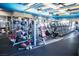 Community gym featuring weight machines, medicine balls, dumbbells, a row of treadmills, and large windows at 2908 Ferrand Ct, Henderson, NV 89044
