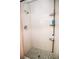 Shower with tiled walls, mosaic tile floor, and metal shelving with toiletries at 301 Falcon Ln, Las Vegas, NV 89107