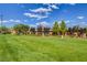 Lush community green space with manicured lawn and walkway, providing an idyllic setting for relaxation and leisure at 6828 Sumatra St, Las Vegas, NV 89166