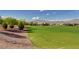 Expansive green space with walking path and mountain views, perfect for outdoor activities and enjoying the scenic landscape at 6828 Sumatra St, Las Vegas, NV 89166