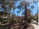 Landscaped walkway near pool and community buildings at 9000 Las Vegas Blvd # 2006, Las Vegas, NV 89123