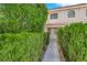 Front yard with green shrubs surrounding the walkway at 943 Sedona Rd, Henderson, NV 89014