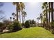 Lush backyard showcasing mature palm trees and verdant lawn at 2041 Troon Dr, Henderson, NV 89074